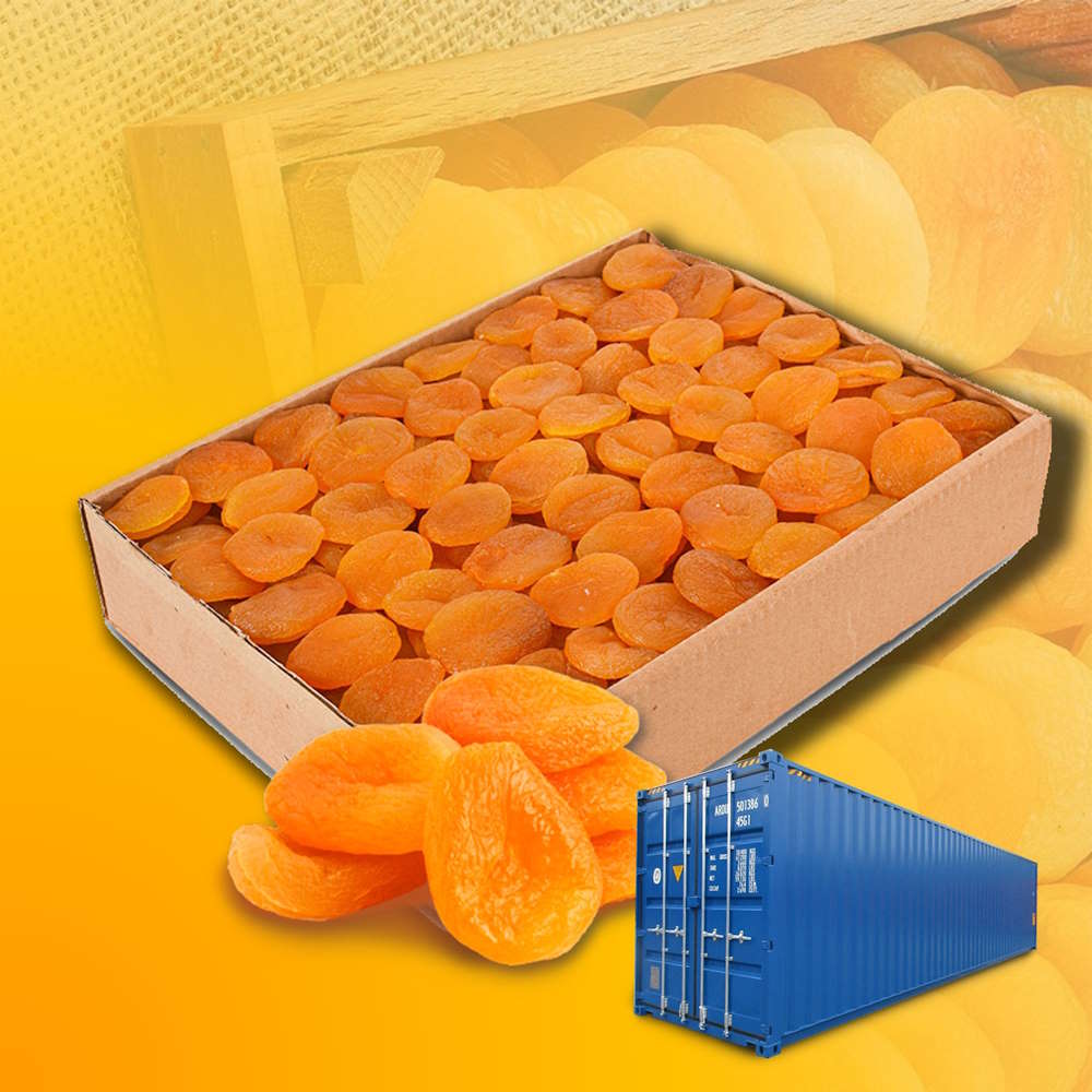 SUN-DRIED APRICOTS - High Quality, Natural and Nutritious Wholesale Dried Apricots from Turkey